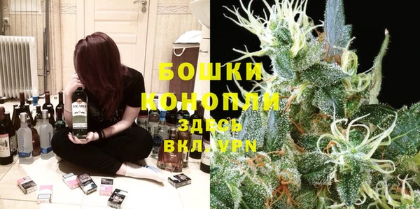 стаф Магадан