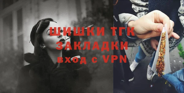 альфа пвп Медвежьегорск