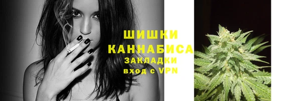 стаф Магадан