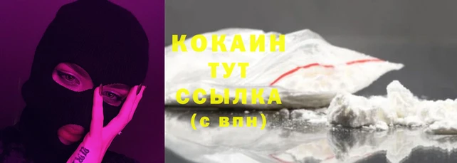 стаф Магадан