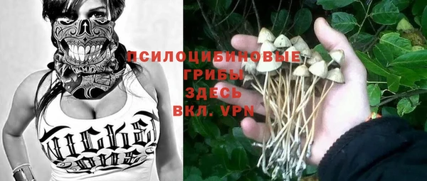 ГАЛЛЮЦИНОГЕННЫЕ ГРИБЫ Майский