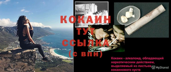 ГАЛЛЮЦИНОГЕННЫЕ ГРИБЫ Майский
