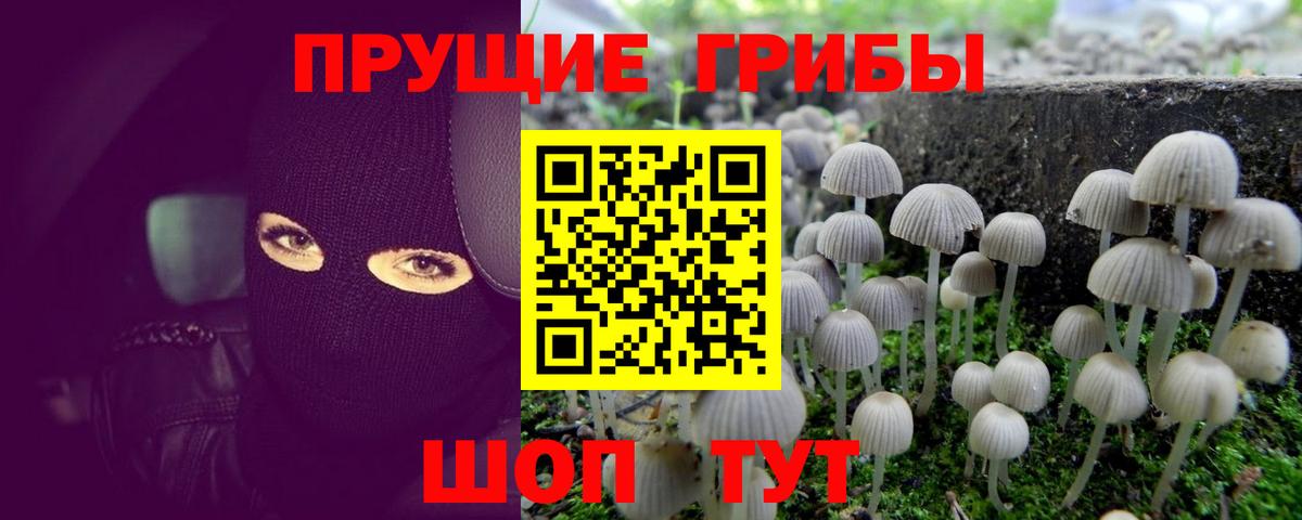 Галлюциногенные грибы мицелий Калуга