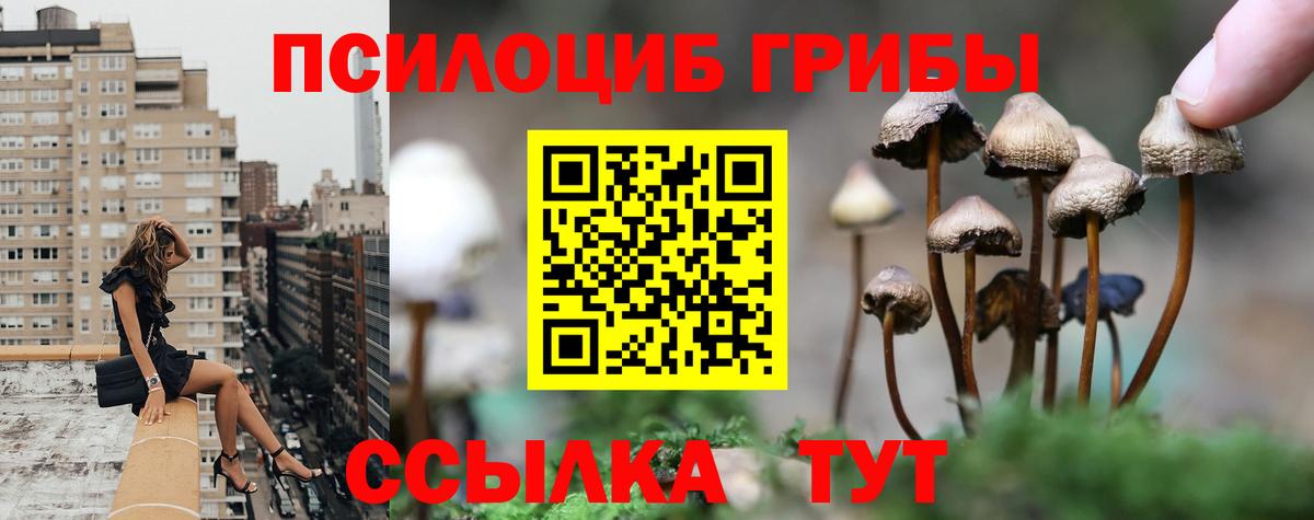 Калуга  Псилоцибиновые грибы MAGIC MUSHROOMS  Вход с VPN  Псилоцибиновые грибы Psilocybine cubensis 